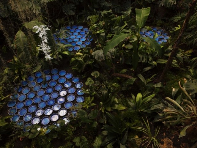 Запоминающиеся керамические чашки - Rainforest, Patrick Nadeau in Chaumont-sur-Loire