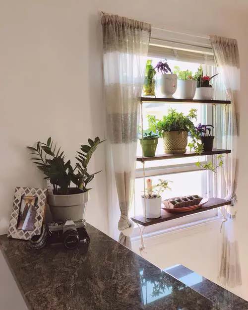 Подвесная оконная полка для растений # подоконник # растения #decorhomeideas