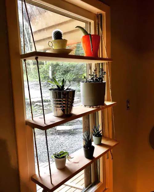 Подоконная полка с разноцветными горшками #windowshelf #plants #decorhomeideas