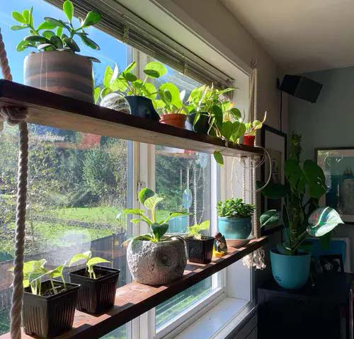 Деревянная полка для разных горшков #windowshelf #plants #decorhomeideas