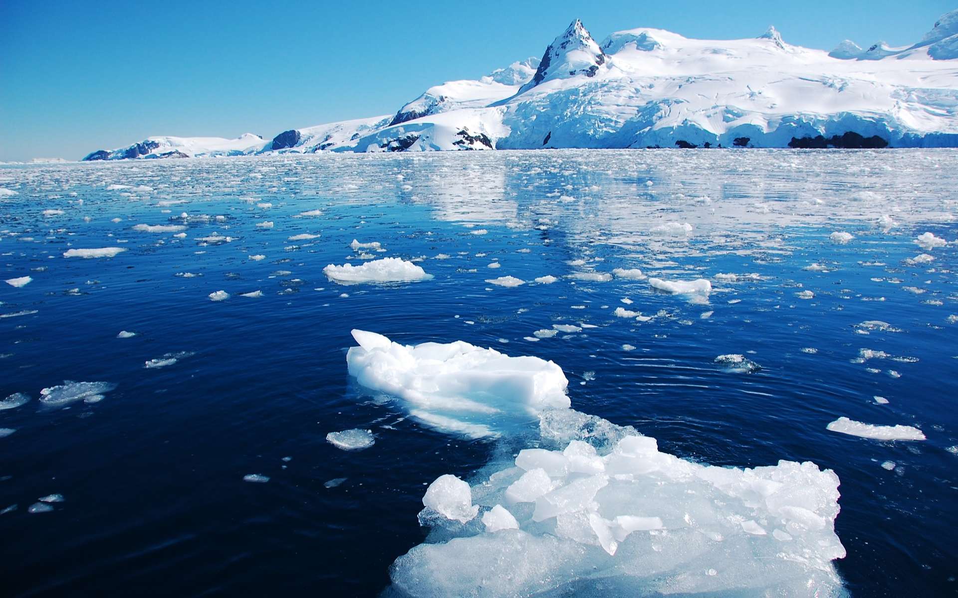 Образование льдов в мировом океане