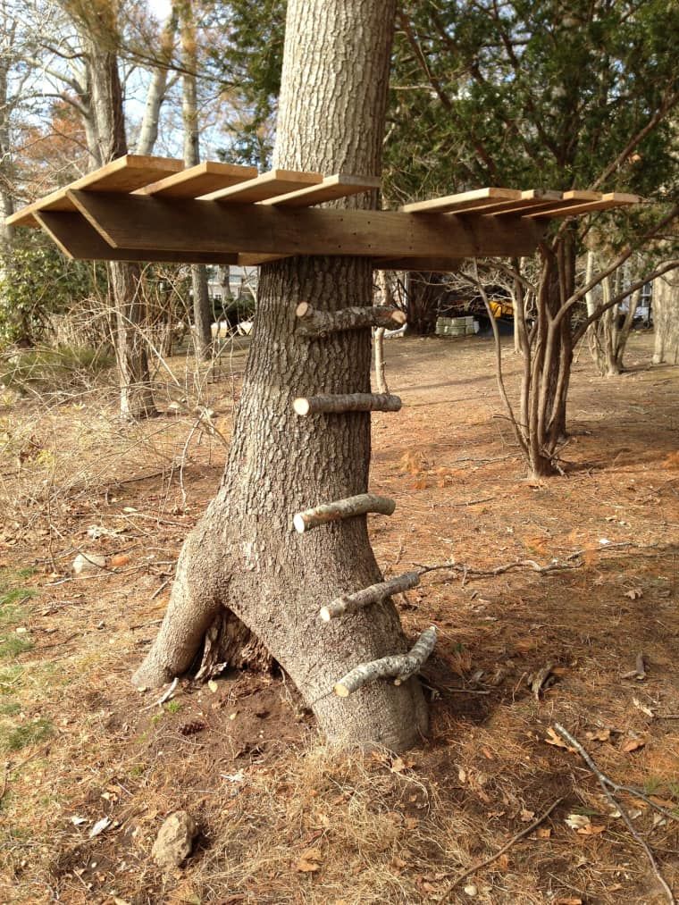 Прикольная идея для лестницы домика на дереве