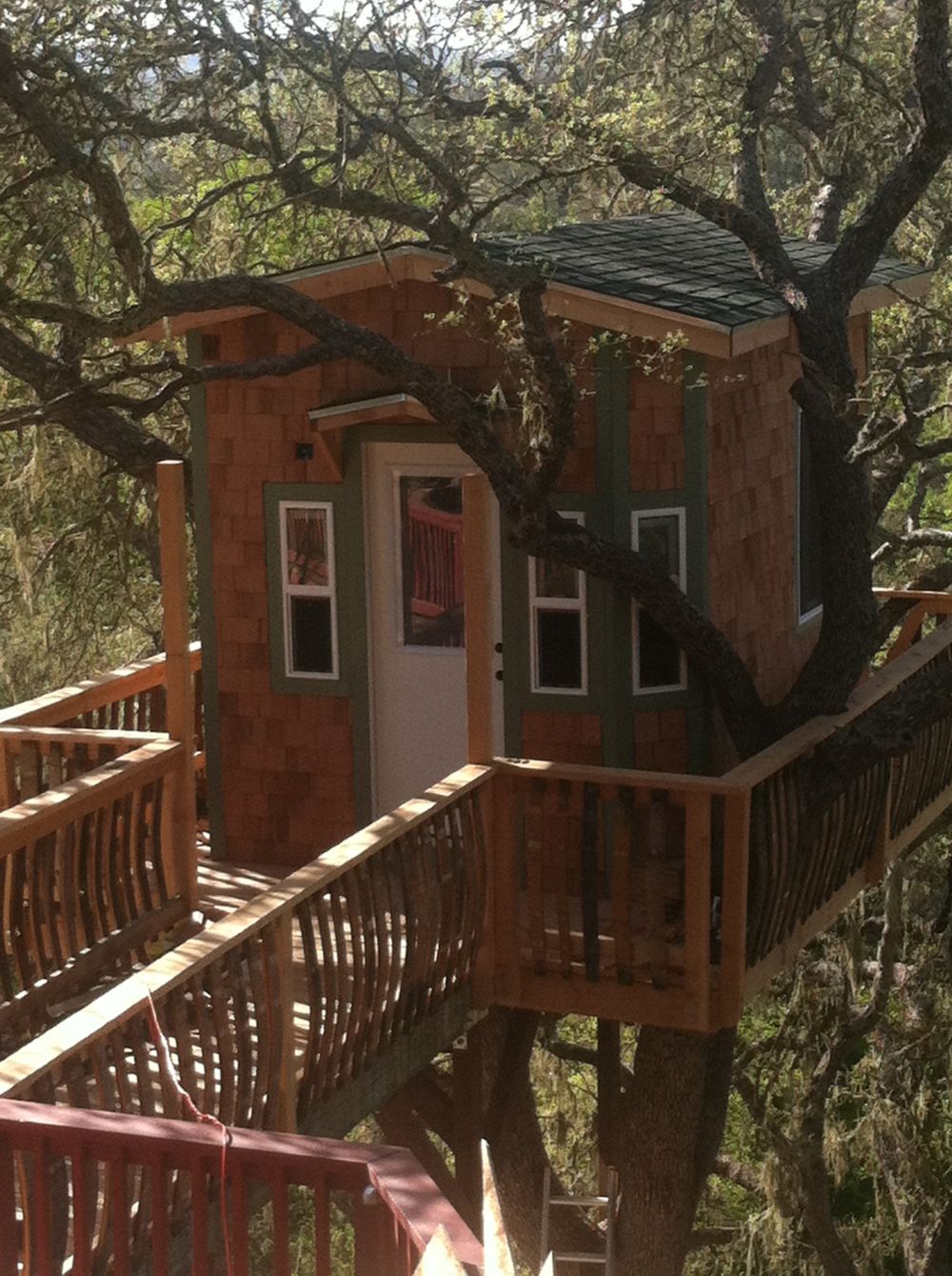 Роскошный дом на дереве с балконом и дорожкой